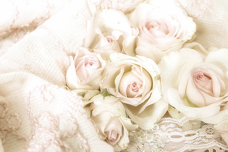 photo of white roses on white textile thumbnail