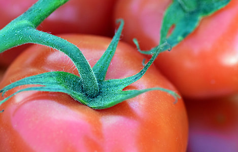 red tomatoes thumbnail