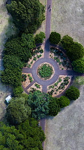 aerial photography of round road surrounded by trees thumbnail