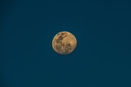 worm's eye view of full moon thumbnail