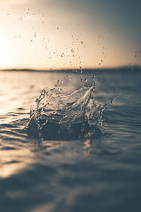 shallow depth of field photo of water drop thumbnail