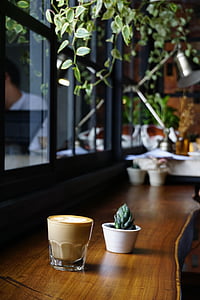 succulent plant in round white pot on brown wooden panel beside clear glass window thumbnail