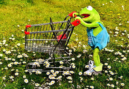 kermit, frog, shopping, shopping cart, fun, soft toy thumbnail