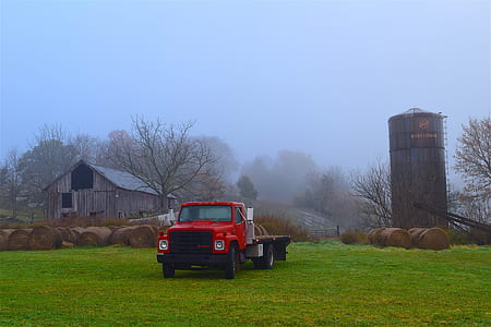 red truck surrounded by green grass thumbnail