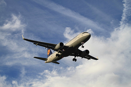 white and gray airplane in flight thumbnail