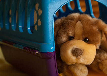 brown bear plush toy placed inside pet porter toy thumbnail