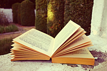 selective focus photography of opened book thumbnail