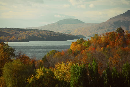 landscape, nature, forest, lake thumbnail