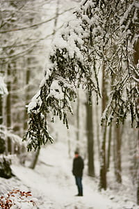 person standing between green trees thumbnail
