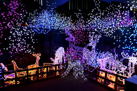 assorted-color LED turned-on lights thumbnail
