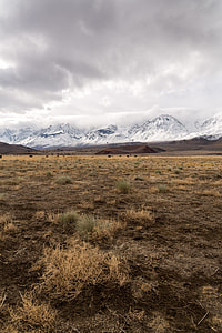 landscape photography grass field in distant of mountain alps under nimbus clouds thumbnail