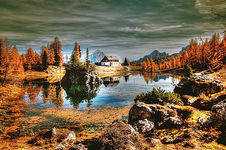 landscape photography of body of water surrounded with orange leaf trees thumbnail