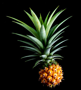 yellow and green Pineapple fruit thumbnail