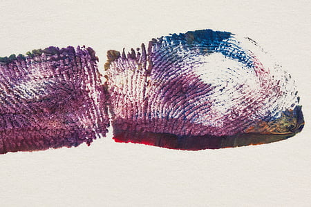 multicolored board decors thumbnail
