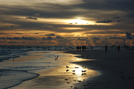 group of people standing on seashore thumbnail