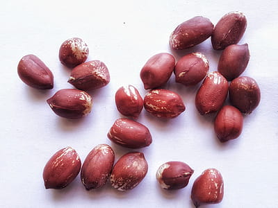 Ground nuts isolated on white backround thumbnail