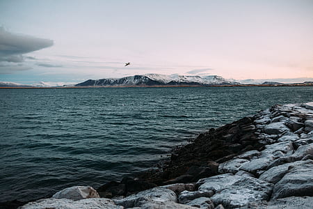 stones on shore with ocean waves thumbnail