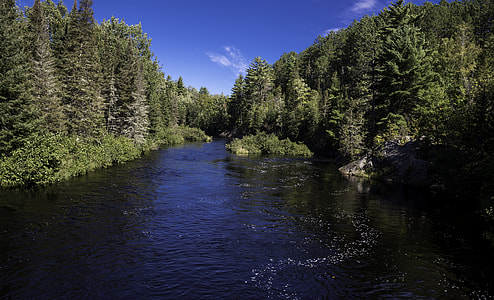 Scenic Riverway landscape at the Peshekee River, Van Riper State Park, Michigan thumbnail