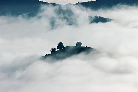 sea of clouds on top of hill with trees at daytime thumbnail