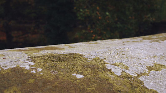 black, gray, green, moss thumbnail