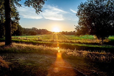 Golden Hour Photo of Green Grass Field thumbnail
