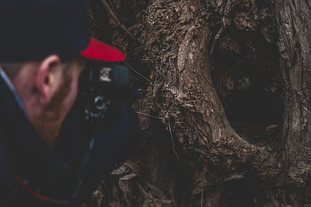 man holding camera taking photo of tree trunk thumbnail