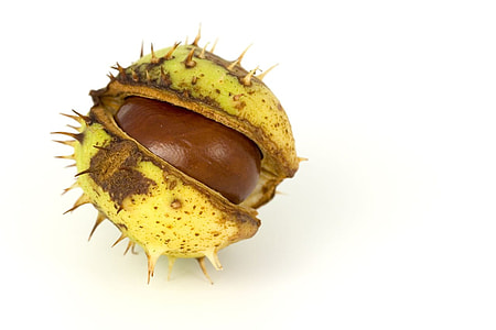 yellow spiky fruit thumbnail