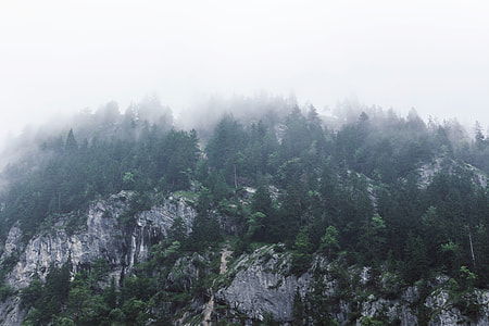 trees under white clouds at daytime thumbnail