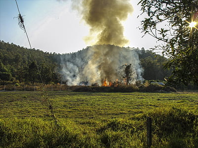grass field on fire thumbnail