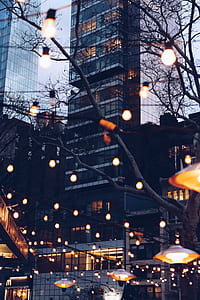 building surrounded with string lights thumbnail