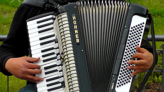 person holding black and white Hohner accordion thumbnail