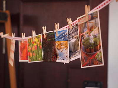 selective focus photography of hanged photos thumbnail