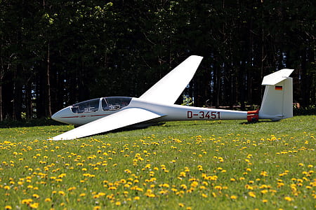 white 0-3451 plane on yellow flower field near green t thumbnail