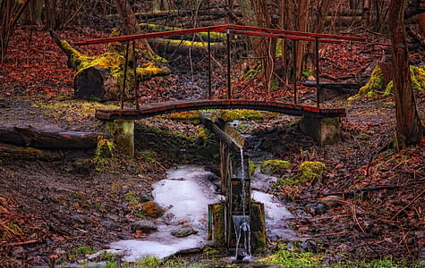 landscape photography of red and brown bridge thumbnail