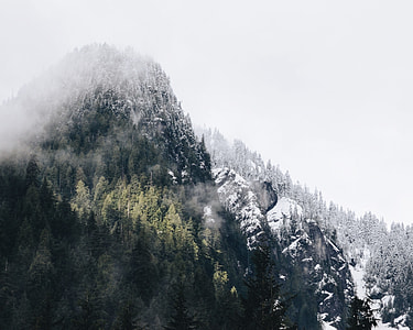 trees covered mountain under sunny sky thumbnail