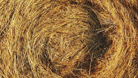 hay stack closeup photo thumbnail