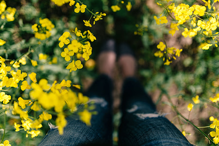 Woman with vintage camera in the field of blooming rapes thumbnail