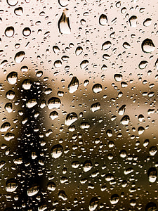 selective focus photography of water drops thumbnail