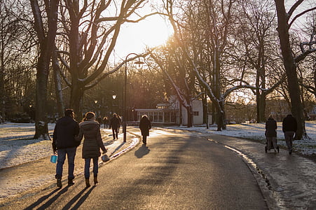 people walking on road near trees thumbnail