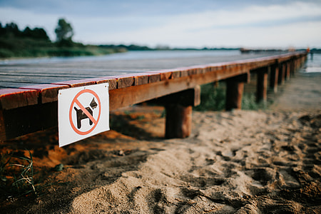 Wooden pier by the lake thumbnail