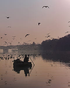 Man on Boat Paddling thumbnail