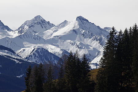 green trees overlooking snow covered mountains at daytime thumbnail