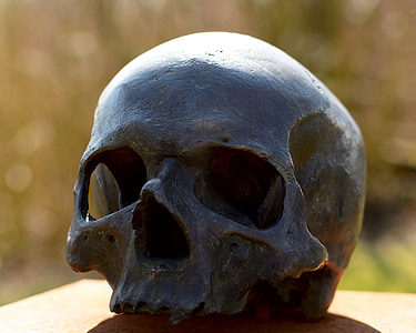 photography of black skull thumbnail