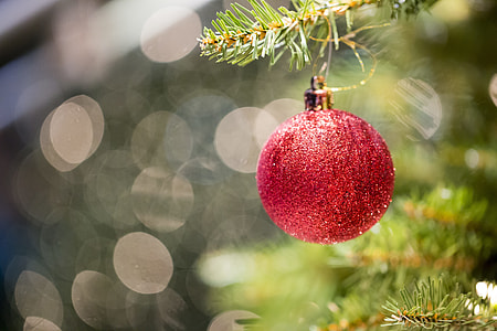 selective focus bokeh photography of hanging red bauble thumbnail