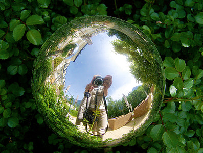 chrome ball on green grass thumbnail