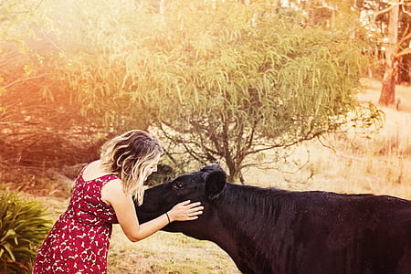 person, love, woman, field thumbnail