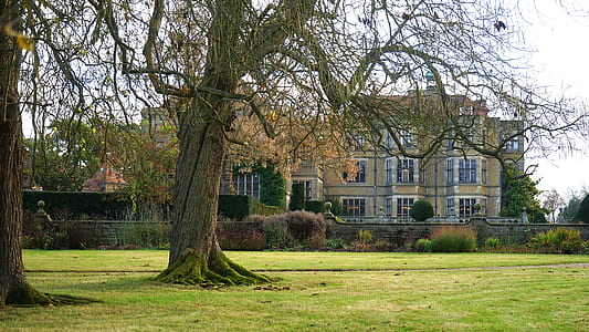 building, grass, lawn, architecture thumbnail