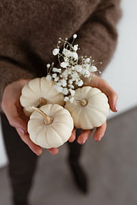 Mini white pumpkins thumbnail