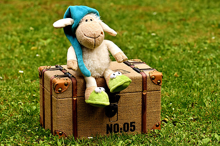 sheep plush toy on brown chest box thumbnail