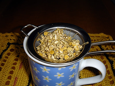 Chamomile, Chamomile Blossoms thumbnail
